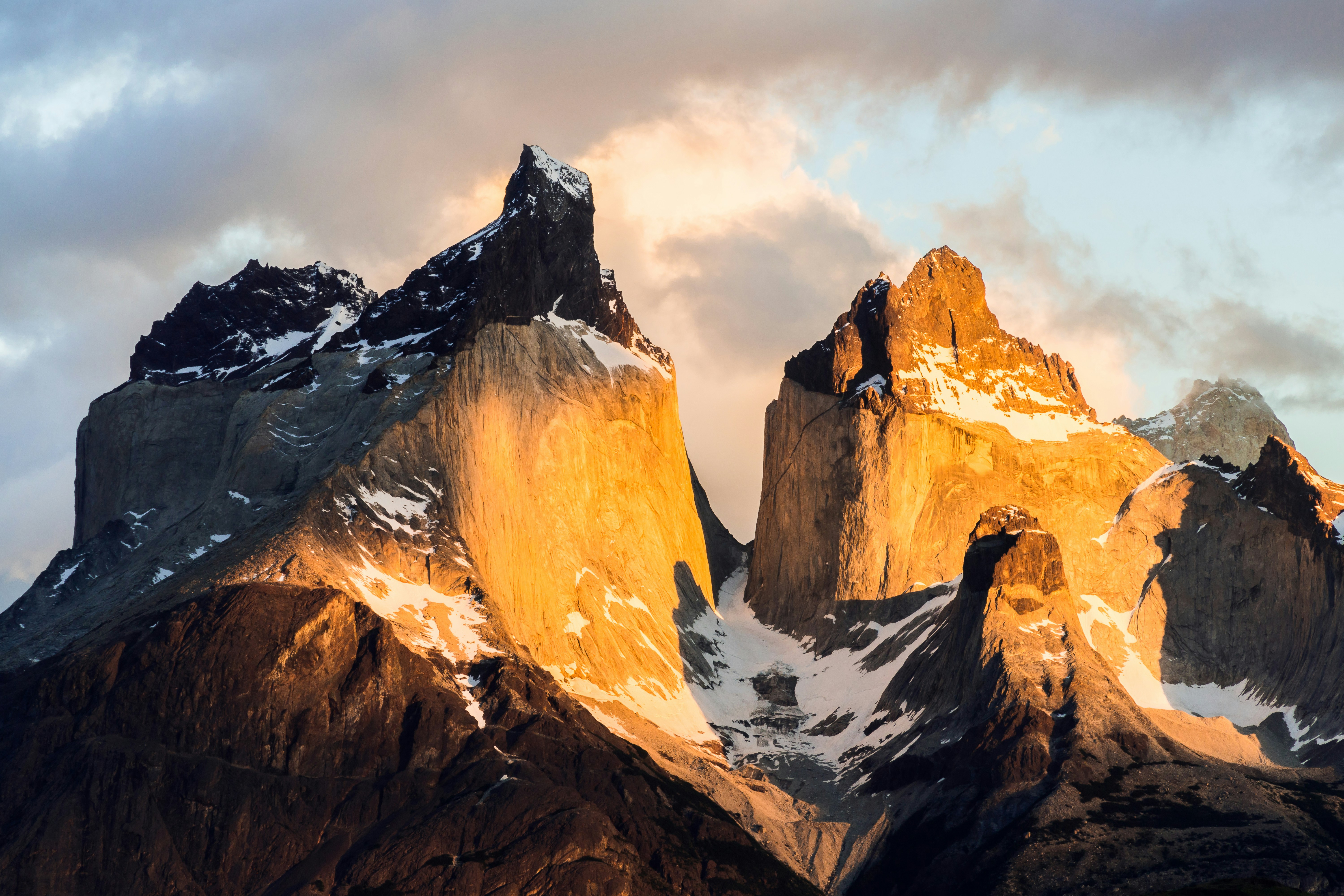 Guanaco en la estepa patagónica
