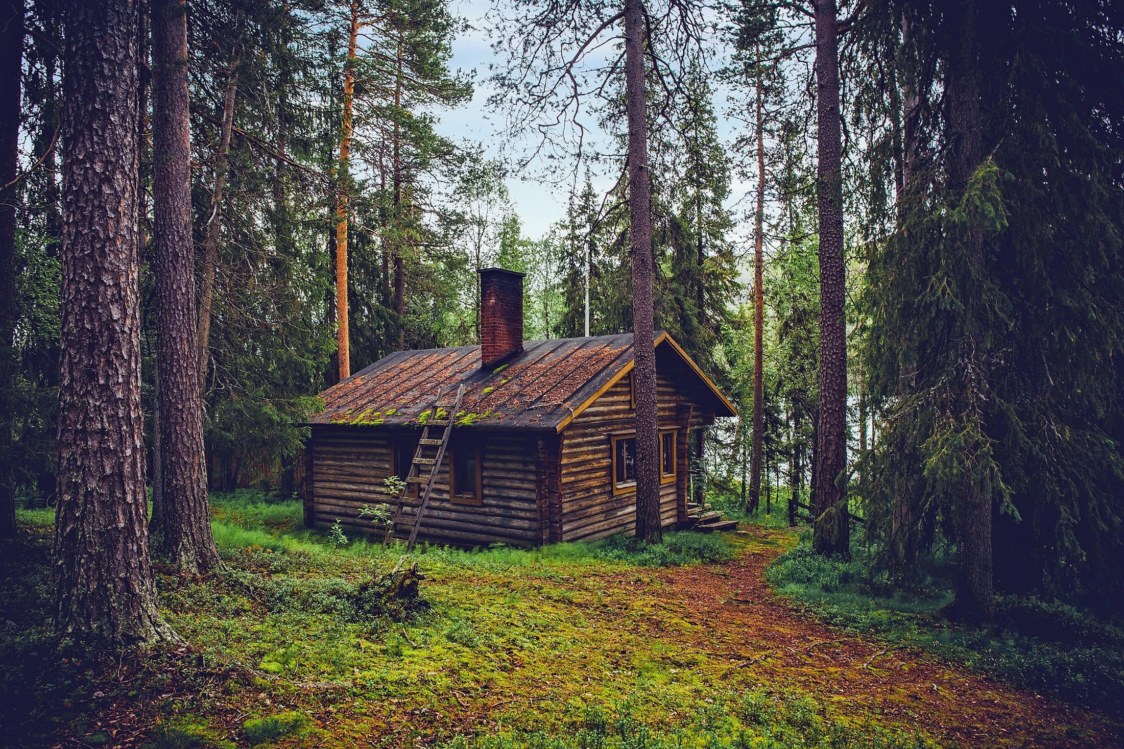 Cabaña de madera en el bosque patagónico